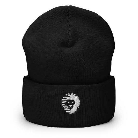 Dream Discipline Beanie