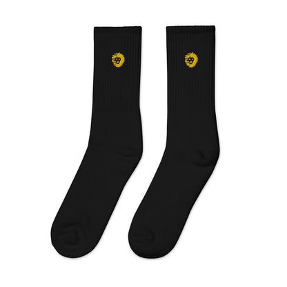 Dream Discipline Socks